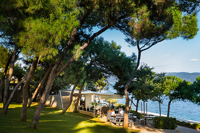 U novoj donacijskoj kampanji, Valamar sa svojim gostima sadi nove šume