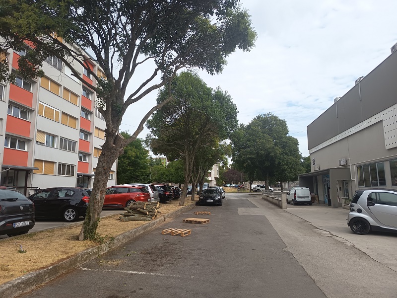 Sređen drvored kod parkirališta na Katurama