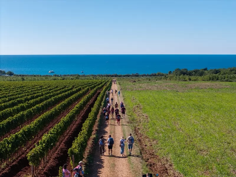 Wine & Walk by the Sea spojio vrhunska vina, istarske okuse i najljepše vizure Novigrada