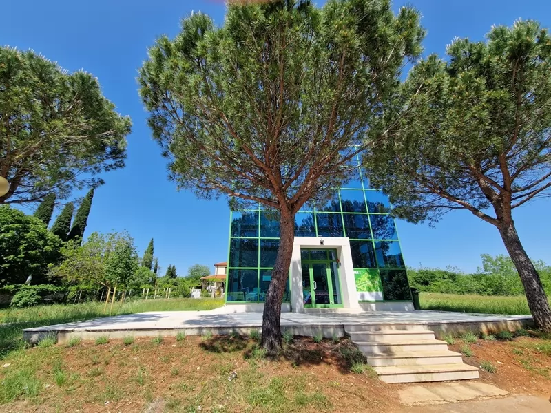 Prova Dubrova ponovno okuplja sve generacije: Piknik, glazba, igre i roštilj u Parku skulptura Dubrova