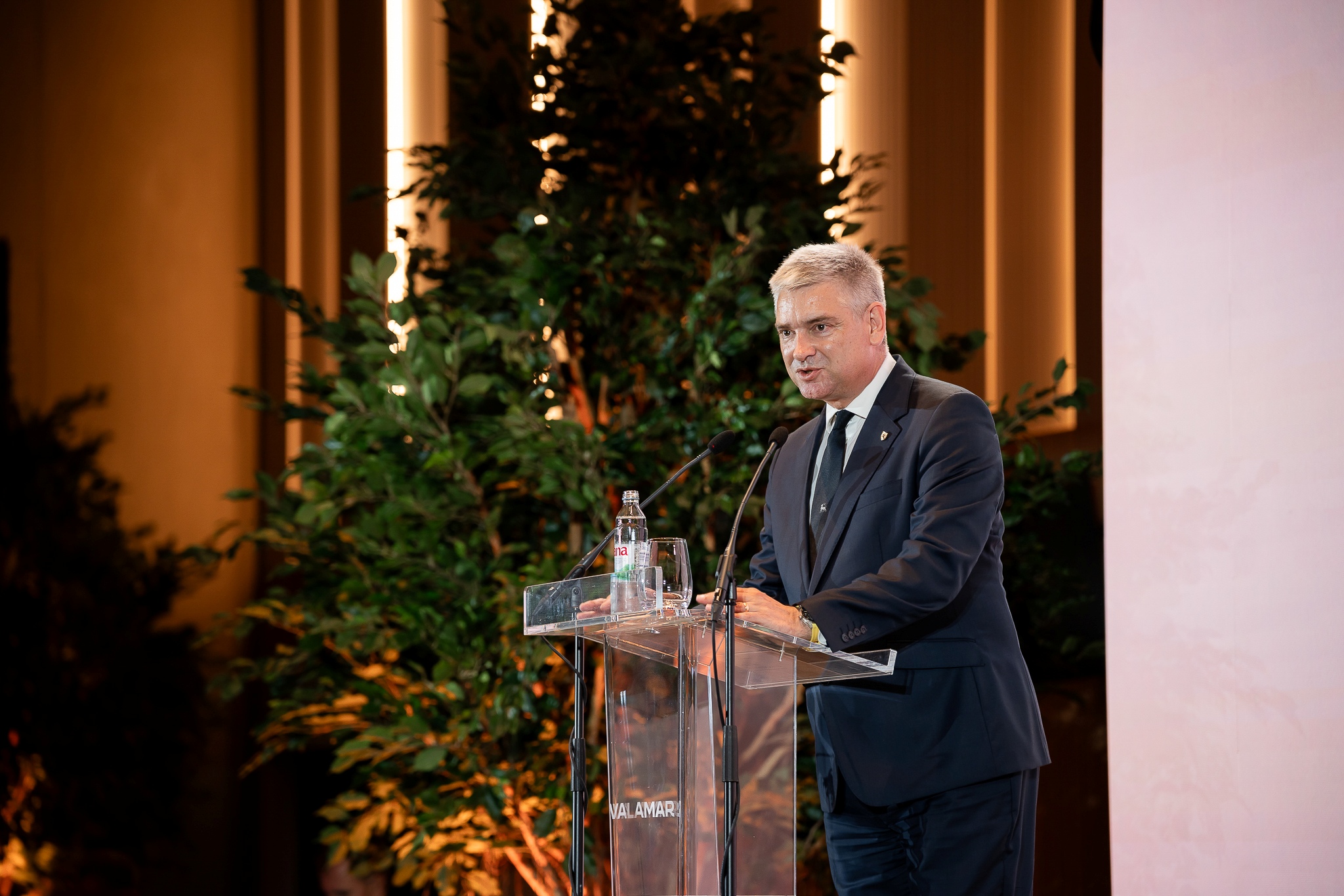 Istarski župan Boris Miletić